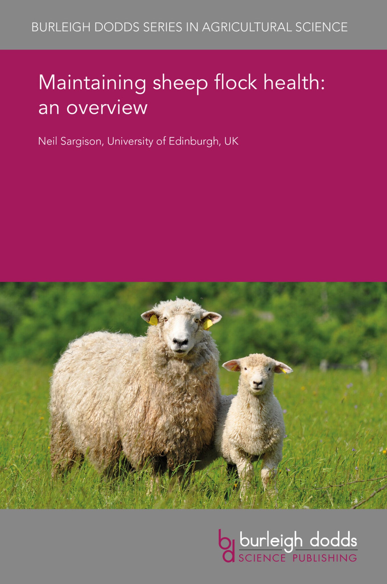 Cover image for Maintaining sheep flock health: an overview ISBN 9781838792671